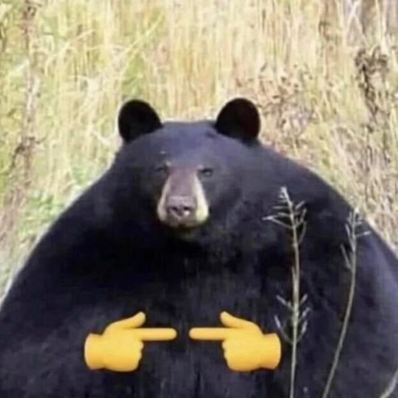 Meet your Posher, Véronica - Picture 1 of 1